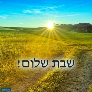 Shabbat Shalom 3