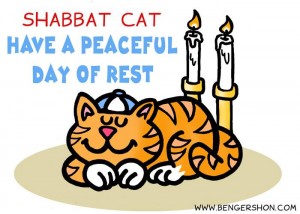 Shabbos Cat