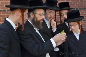 Rabbi Deutsch & Sons Esrog